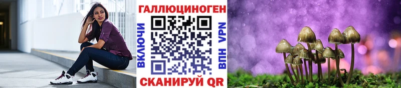 наркотики  Бронницы  Галлюциногенные грибы Psilocybine cubensis 